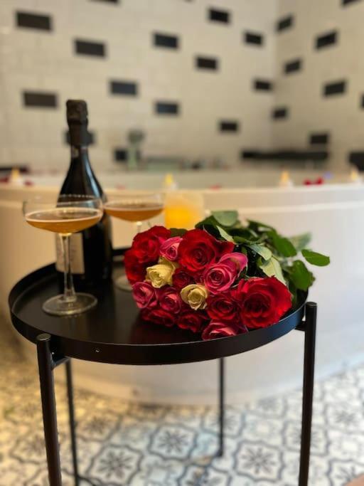 Appartement Vénus Jacuzzi En Toute Intimité Nantes